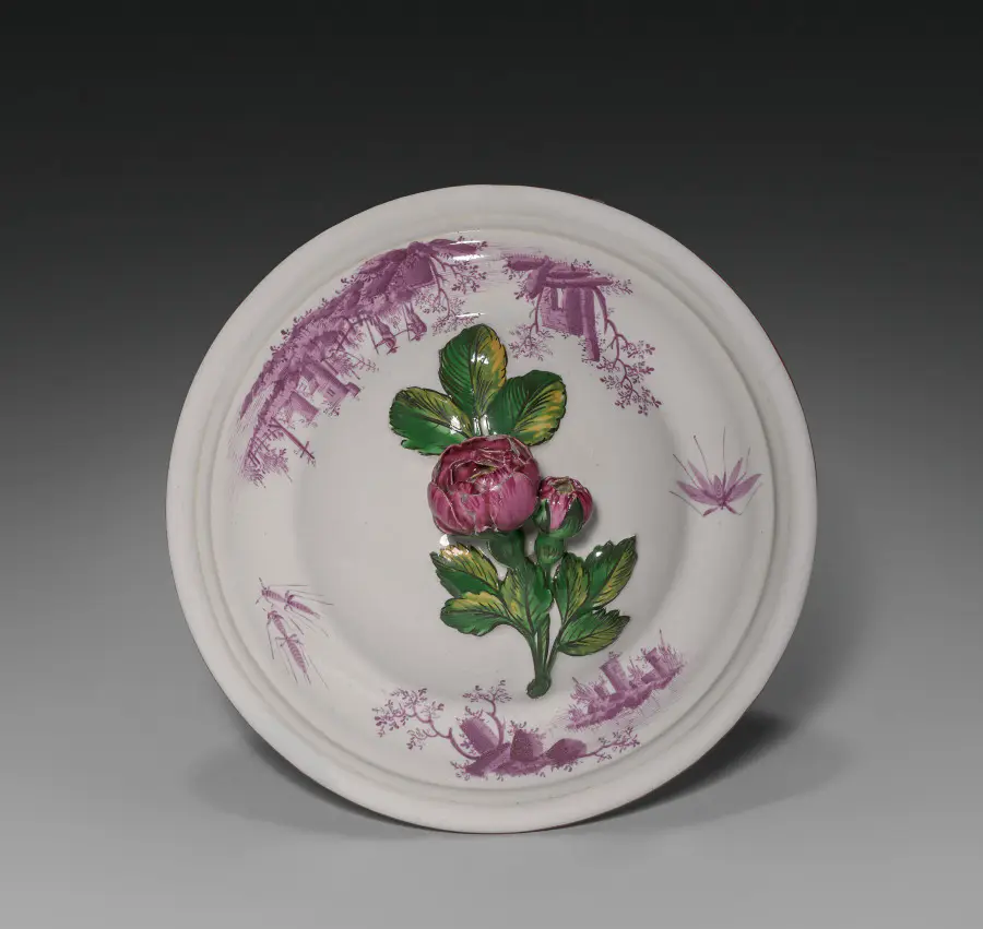 Cover for a Bowl