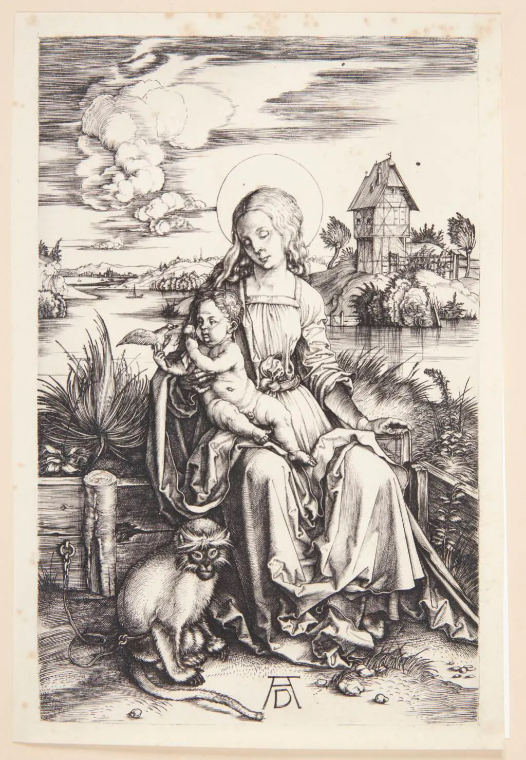 Madonna med aben