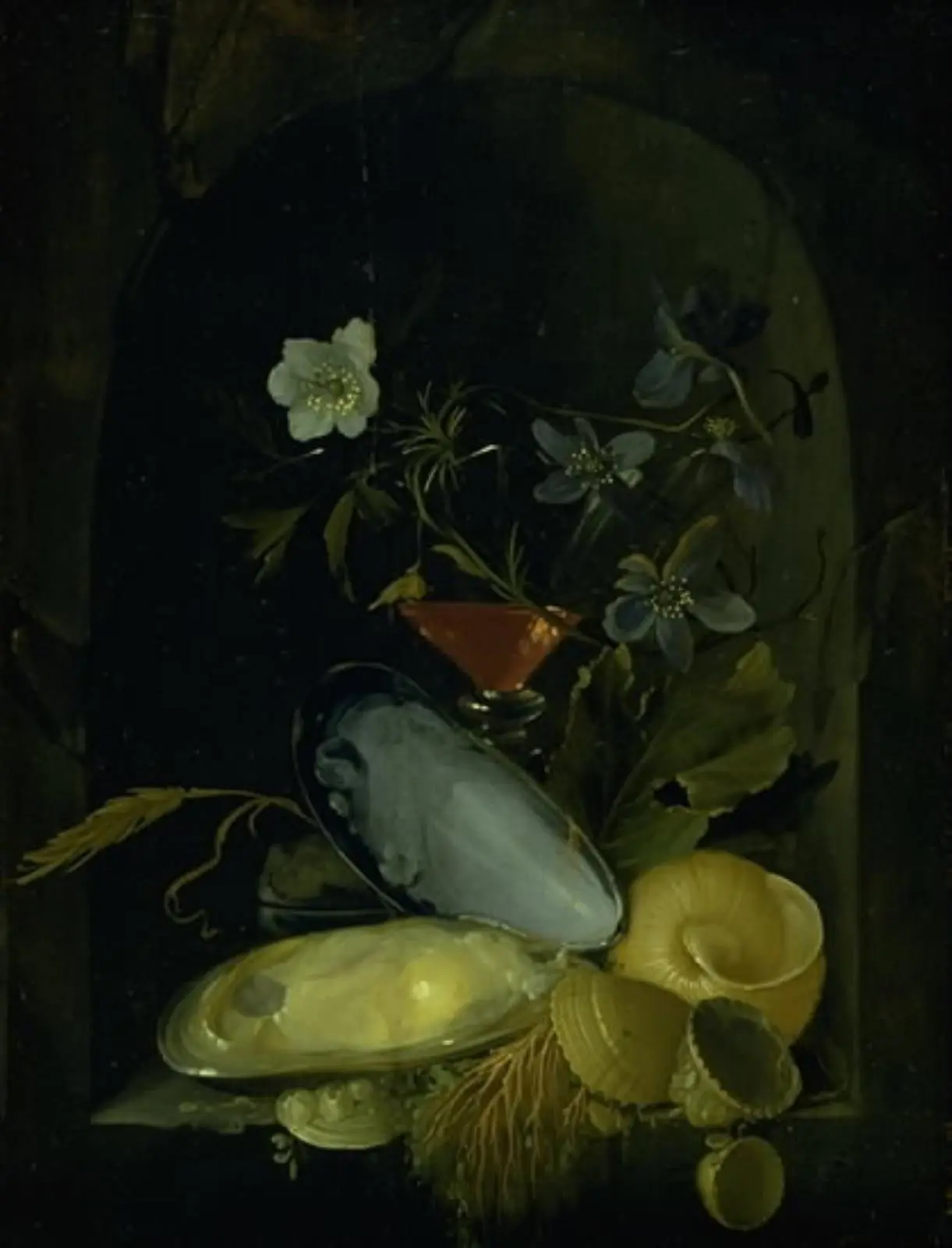 Stilleben med muslingeskaller og blå anemoner